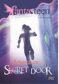 Image of Adventure of Secret Door